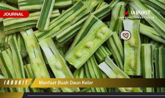 Inilah 10 Manfaat Buah dan Daun Kelor, Rahasia Kesehatan Alami untuk Meningkatkan Imunitas dan Energi