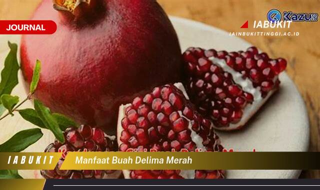 Inilah 10 Manfaat Buah Delima Merah untuk Kesehatan Tubuh Anda Inilah 10 Manfaat Buah Delima Merah untuk Kesehatan Tubuh Anda