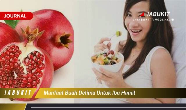 Inilah 8 Manfaat Buah Delima untuk Ibu Hamil dan Janin, Kesehatan, Nutrisi, dan Tips Konsumsi Inilah 8 Manfaat Buah Delima untuk Ibu Hamil dan Janin, Kesehatan, Nutrisi, dan Tips Konsumsi