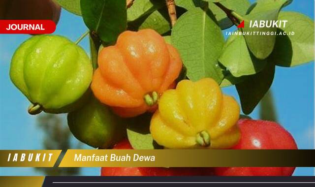 Inilah 10 Manfaat Buah Dewa Untuk Kesehatan dan Kecantikan