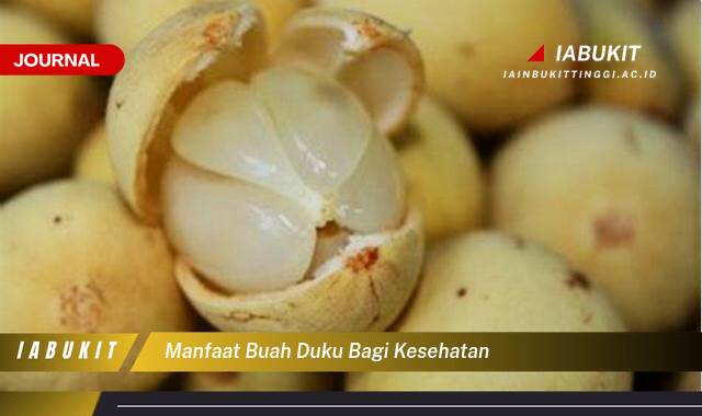 Inilah 9 Manfaat Buah Duku Bagi Kesehatan Tubuh Anda Secara Lengkap