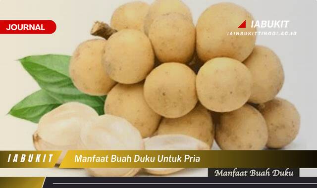 Inilah 10 Manfaat Buah Duku untuk Kesehatan Pria, Meningkatkan Stamina dan Daya Tahan Tubuh Inilah 10 Manfaat Buah Duku untuk Kesehatan Pria, Meningkatkan Stamina dan Daya Tahan Tubuh