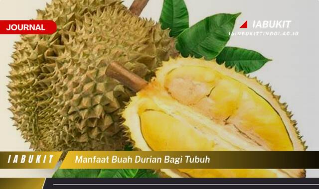 Inilah 10 Manfaat Buah Durian bagi Tubuh, Dari Kesehatan Jantung Hingga Peningkatan Energi