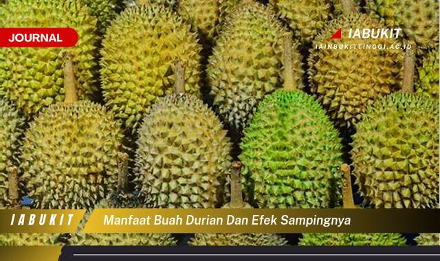 Inilah 8 Manfaat Buah Durian untuk Kesehatan dan Efek Samping yang Perlu Diwaspadai