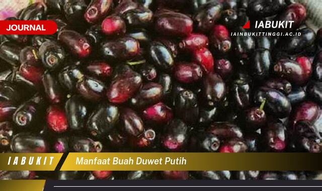 Inilah 8 Manfaat Buah Duwet Putih untuk Kesehatan dan Kecantikan Anda