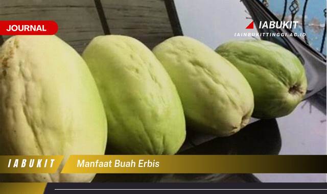 Inilah 9 Manfaat Buah Erbis Untuk Kesehatan Anda Secara Menyeluruh