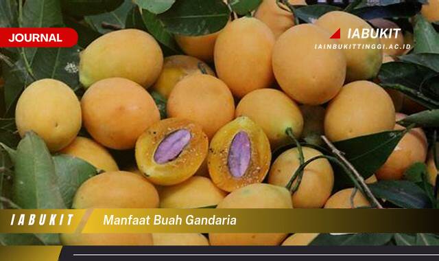 Inilah 9 Manfaat Buah Gandaria untuk Kesehatan Tubuh Anda Inilah 9 Manfaat Buah Gandaria untuk Kesehatan Tubuh Anda