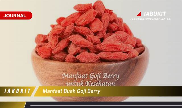 Inilah 10 Manfaat Buah Goji Berry, Rahasia Kesehatan dan Kecantikan Alami