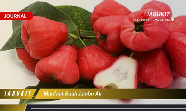 Inilah 8 Manfaat Buah Jambu Air untuk Kesehatan Tubuh Anda