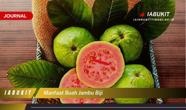 Inilah 10 Manfaat Buah Jambu Biji untuk Kesehatan Tubuh Anda Inilah 10 Manfaat Buah Jambu Biji untuk Kesehatan Tubuh Anda