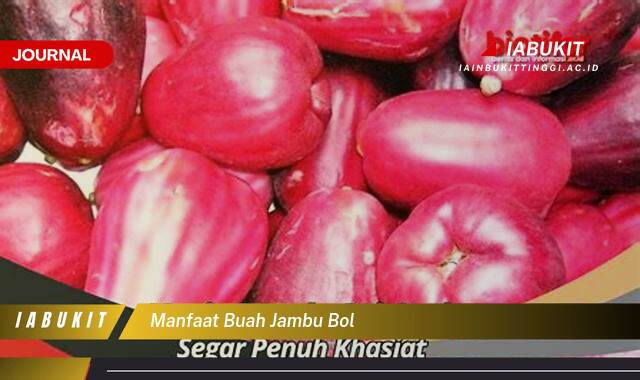 Inilah 9 Manfaat Buah Jambu Bol, Kandungan Nutrisi dan Khasiatnya Bagi Kesehatan