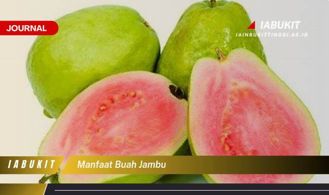 Inilah 9 Manfaat Buah Jambu untuk Kesehatan Tubuh Anda Inilah 9 Manfaat Buah Jambu untuk Kesehatan Tubuh Anda