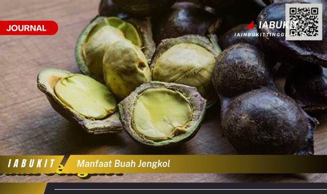 Inilah 8 Manfaat Buah Jengkol, Dari Kesehatan Jantung Hingga Kontrol Gula Darah