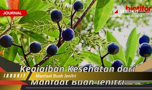 Inilah 10 Manfaat Buah Jenitri untuk Kesehatan, Kecantikan, dan Spiritual