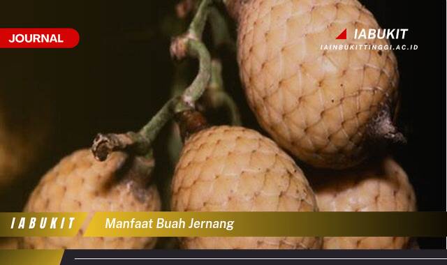 Inilah 10 Manfaat Buah Jernang, Khasiat Luar Biasa untuk Kesehatan dan Kecantikan