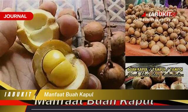 Inilah 8 Manfaat Buah Kapul untuk Kesehatan yang Menakjubkan