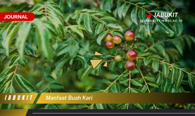 Inilah 9 Manfaat Buah Kari, Khasiat Luar Biasa untuk Kesehatan Tubuh Anda