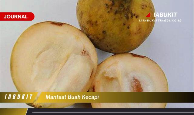 Inilah 10 Manfaat Buah Kecapi untuk Kesehatan Tubuh Anda Inilah 10 Manfaat Buah Kecapi untuk Kesehatan Tubuh Anda