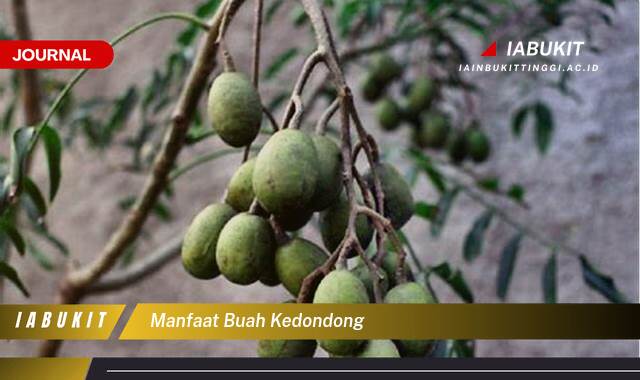 Inilah 9 Manfaat Buah Kedondong untuk Kesehatan Tubuh Anda Inilah 9 Manfaat Buah Kedondong untuk Kesehatan Tubuh Anda