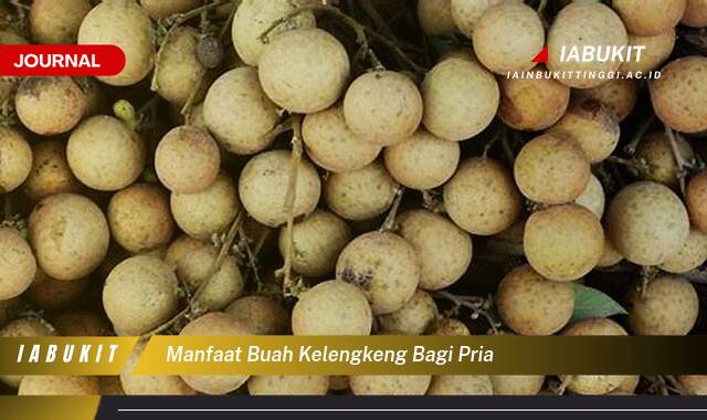Inilah 10 Manfaat Buah Kelengkeng Bagi Pria, Kesehatan Seksual, Stamina, dan Lebih Banyak Lagi!