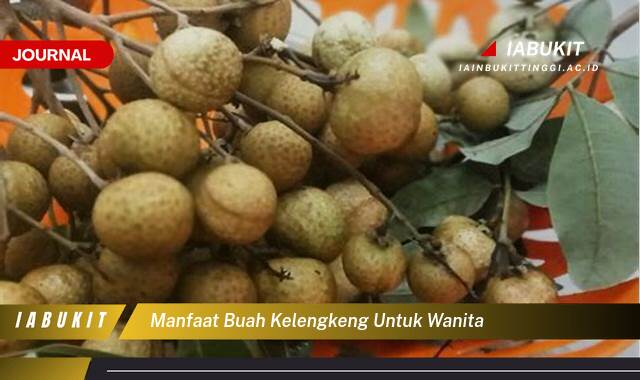 Inilah 9 Manfaat Buah Kelengkeng untuk Wanita, Kesehatan, Kecantikan, dan Kesuburan