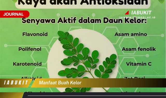 Inilah 8 Manfaat Buah Kelor untuk Kesehatan Tubuh Anda Secara Keseluruhan Inilah 8 Manfaat Buah Kelor untuk Kesehatan Tubuh Anda Secara Keseluruhan