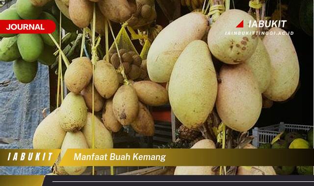 Inilah 9 Manfaat Buah Kemang untuk Kesehatan Tubuh Anda