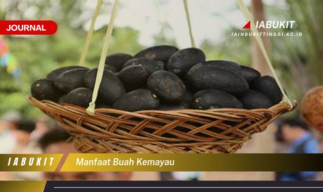 Inilah 10 Manfaat Buah Kemayau untuk Kesehatan Tubuh Anda