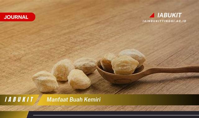 Inilah 8 Manfaat Buah Kemiri, Panduan Lengkap untuk Kesehatan dan Kecantikan Alami