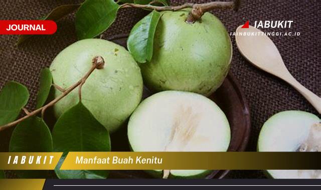 Inilah 10 Manfaat Buah Kenitu untuk Kesehatan Tubuh Anda Inilah 10 Manfaat Buah Kenitu untuk Kesehatan Tubuh Anda