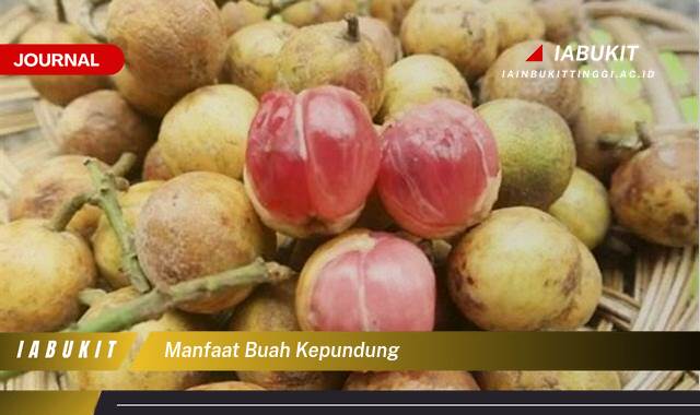 Inilah 10 Manfaat Buah Kepundung untuk Kesehatan Jantung, Kulit, dan Sistem Kekebalan Tubuh
