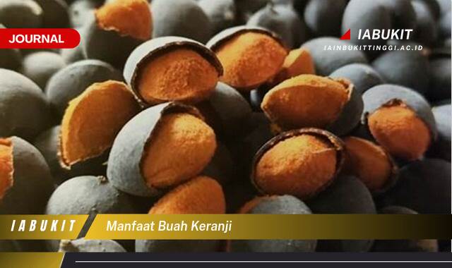 Inilah 10 Manfaat Buah Keranji untuk Kesehatan Tubuh Anda Inilah 10 Manfaat Buah Keranji untuk Kesehatan Tubuh Anda