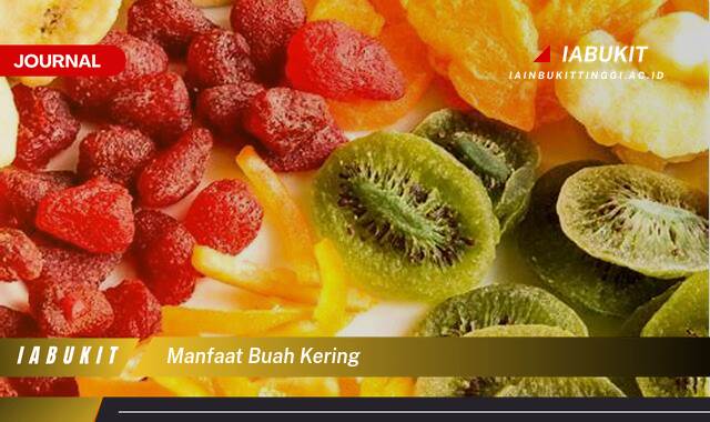 Inilah 9 Manfaat Buah Kering, Sumber Energi Alami dan Kaya Nutrisi untuk Kesehatan Anda