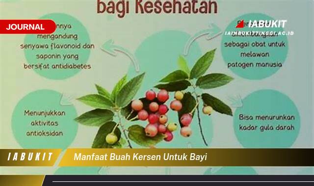 Ketahui 9 Manfaat Buah Kersen untuk Bayi, Nutrisi Lengkap dan Cara Aman Pemberian