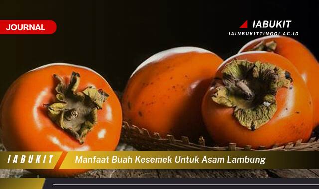 Inilah 8 Manfaat Buah Kesemek untuk Asam Lambung, Meredakan Nyeri dan Mencegah Kambuh