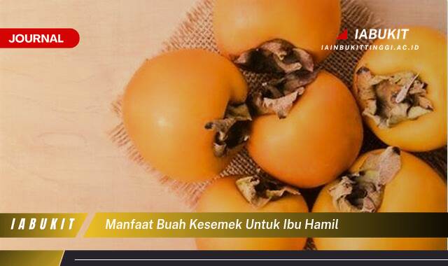 Inilah 8 Manfaat Buah Kesemek untuk Ibu Hamil, Nutrisi Penting dan Tips Aman Mengonsumsinya Inilah 8 Manfaat Buah Kesemek untuk Ibu Hamil, Nutrisi Penting dan Tips Aman Mengonsumsinya