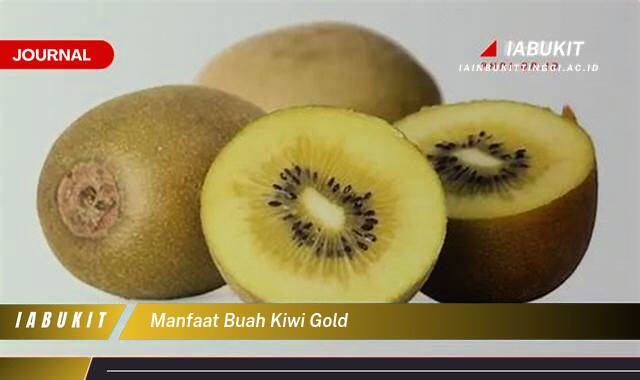 Inilah 9 Manfaat Buah Kiwi Gold untuk Kesehatan Tubuh Anda