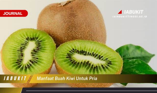 Inilah 8 Manfaat Buah Kiwi untuk Kesehatan Pria, Meningkatkan Energi, Imunitas, dan Vitalitas