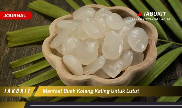 Inilah 10 Manfaat Buah Kolang Kaling untuk Lutut, Redakan Nyeri Sendi dan Tingkatkan Mobilitas