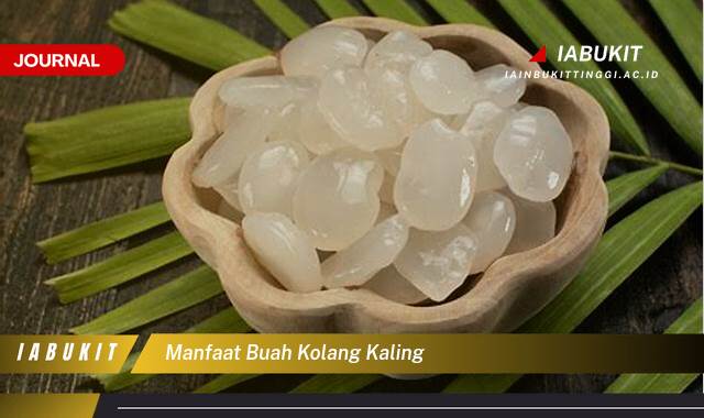Inilah 8 Manfaat Buah Kolang,Kaling untuk Kesehatan Anda Inilah 8 Manfaat Buah Kolang,Kaling untuk Kesehatan Anda