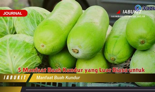 Inilah 8 Manfaat Buah Kundur untuk Kesehatan Tubuh Anda Inilah 8 Manfaat Buah Kundur untuk Kesehatan Tubuh Anda