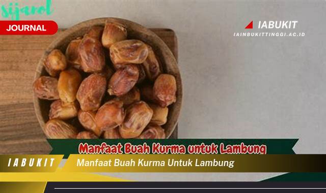 Inilah 8 Manfaat Buah Kurma untuk Lambung, Solusi Alami untuk Pencernaan Sehat