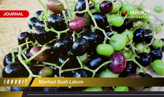 Inilah 10 Manfaat Buah Lakum untuk Kesehatan Jantung dan Imunitas Tubuh