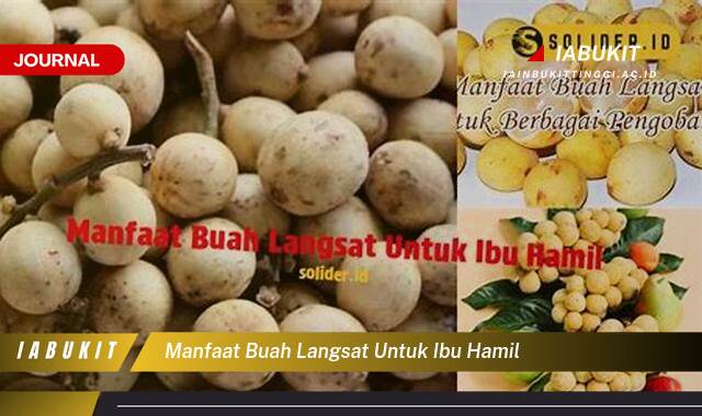 Inilah 8 Manfaat Buah Langsat untuk Ibu Hamil dan Janin, Nutrisi, Tips Aman, dan Pantangan