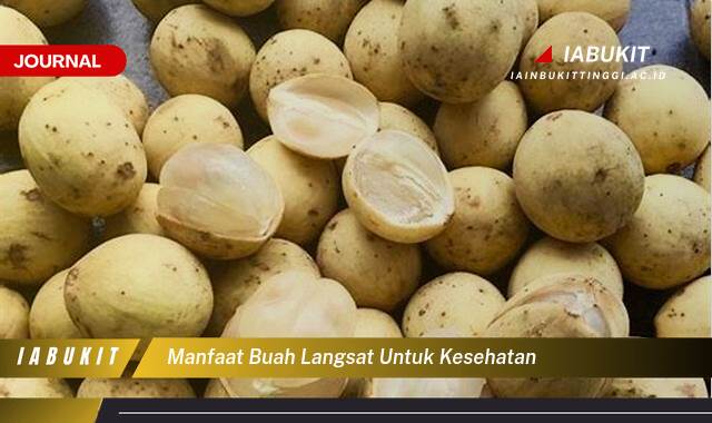 Inilah 8 Manfaat Buah Langsat untuk Kesehatan Tubuh Anda