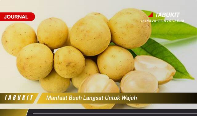 Inilah 10 Manfaat Buah Langsat untuk Wajah, Kulit Cerah dan Sehat Alami Inilah 10 Manfaat Buah Langsat untuk Wajah, Kulit Cerah dan Sehat Alami