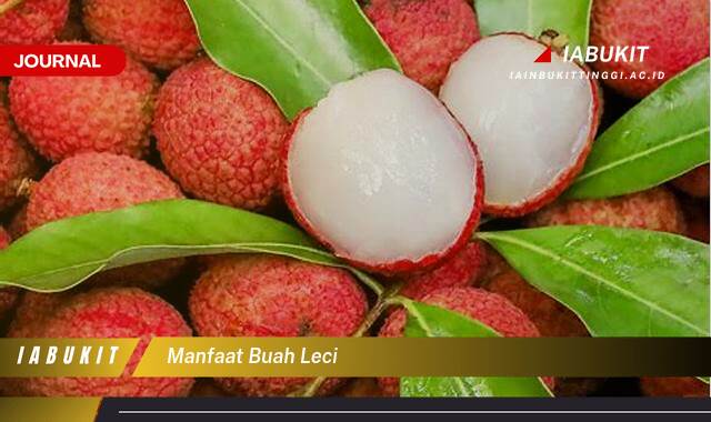 Inilah 9 Manfaat Buah Leci untuk Kesehatan Tubuh Anda Inilah 9 Manfaat Buah Leci untuk Kesehatan Tubuh Anda