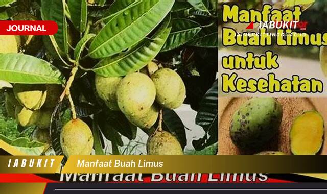 Inilah 8 Manfaat Buah Limus, Rahasia Kesehatan Alami yang Tersembunyi