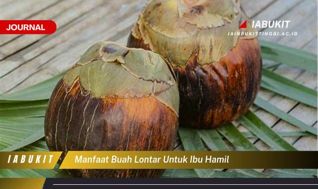 Inilah 8 Manfaat Buah Lontar untuk Ibu Hamil, Nutrisi Penting dan Keamanan Konsumsi