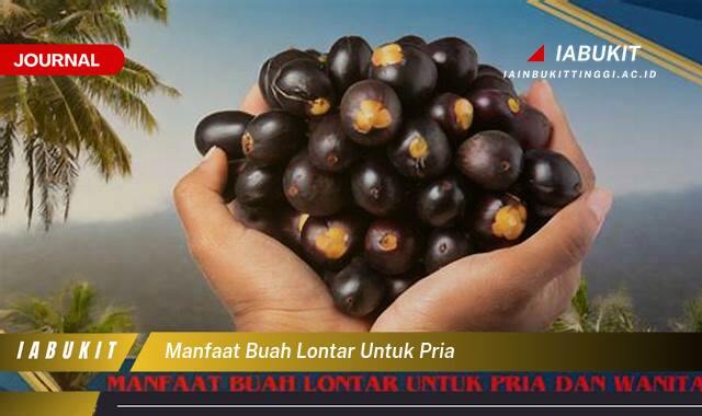 Inilah 8 Manfaat Buah Lontar untuk Pria, Meningkatkan Stamina dan Vitalitas